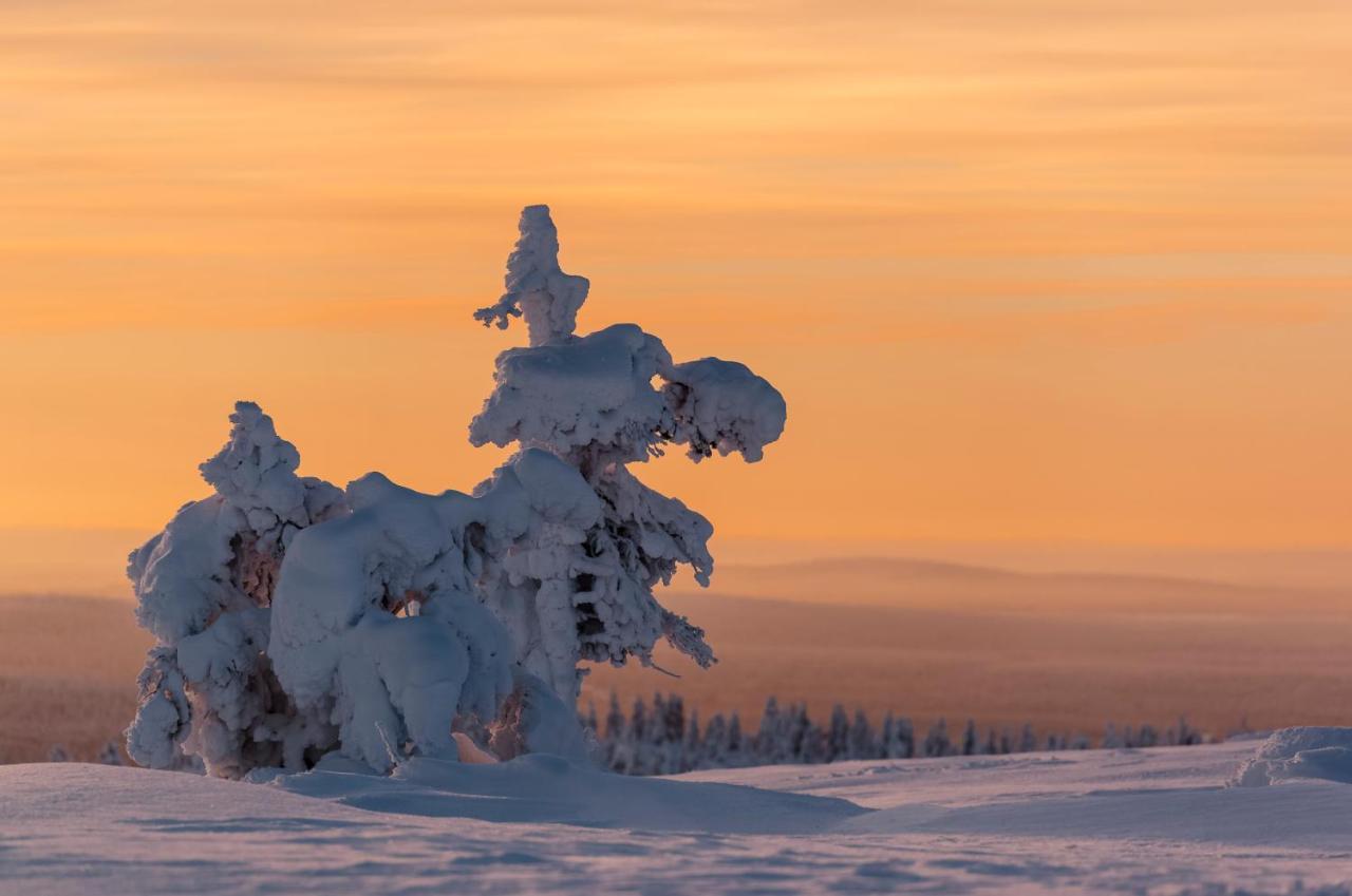 Вилла Talo Yllaes Экясломполо Экстерьер фото